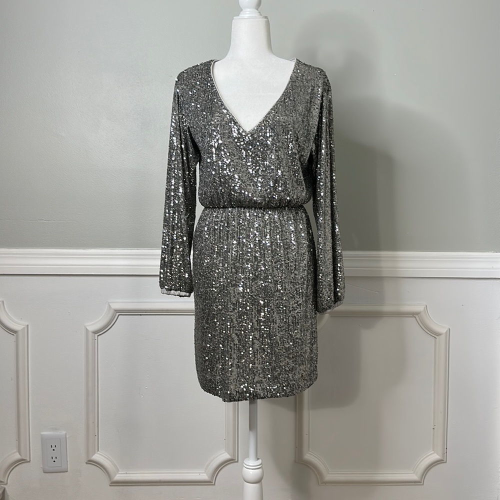 Express sequins dress